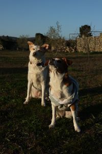 Theoria.Photographies profile picture