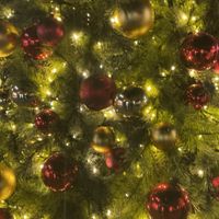 Mira Esto profile picture