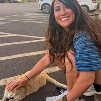 Rachel K profile picture
