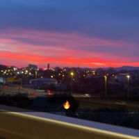 flora marusic profile picture