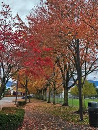 Jaspreet Luthra profile picture