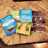 Michelle M Damiani profile picture