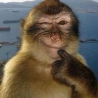 Spirit Hudson profile picture