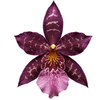 Wennysupply profile picture