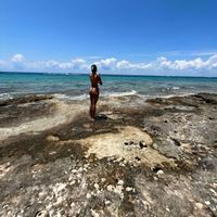 Sol Livings profile picture