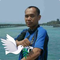 The World-Wide Shelf profile picture