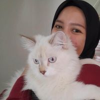 Galuh Masyithoh profile picture