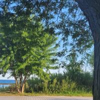 Nuru Ahmed profile picture