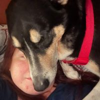 Samantha Hill profile picture