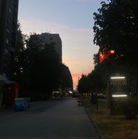 🩵 profile picture