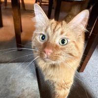 Blake C profile picture