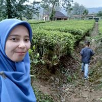 Aulia Afifah profile picture