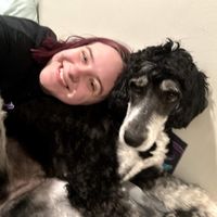 Cecelia Moisan profile picture