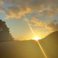 Elizabeth Kennedy profile picture