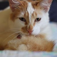 Ine profile picture