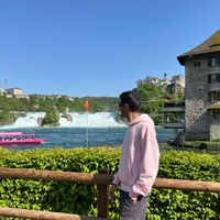 Neil profile picture