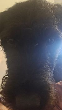 CartSmash profile picture