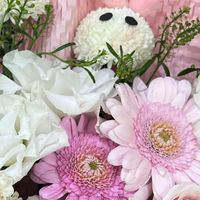 Trang Tran profile picture