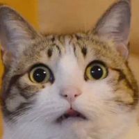 Richard C profile picture