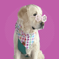 Nube Blanche (Nube) profile picture