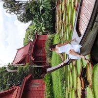 Charul Patel profile picture