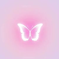 VvnStudio profile picture