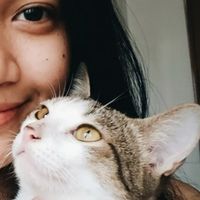 VvnStudio profile picture