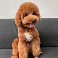 Kezia Yosua profile picture