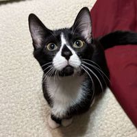 Kaylyn Patterson profile picture