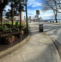 Raina Tesfazion profile picture