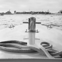 Casey profile picture