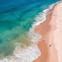 Casey profile picture