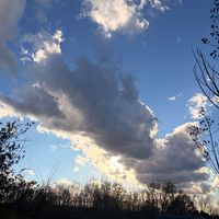 Katelyn Parrish profile picture