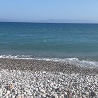 Brooke McEwan profile picture