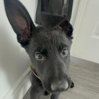 Mya Smith profile picture