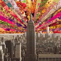 Anna Beck profile picture