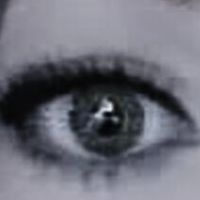 i4details profile picture