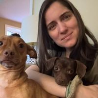 Kristen O'Keefe profile picture