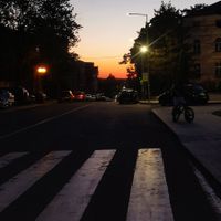 Елена Јанус profile picture