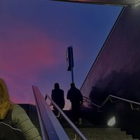 Ani Msc profile picture