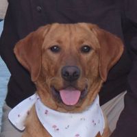 Millie Lanz profile picture