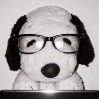 Riva's Daily Finds profile picture