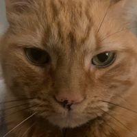 mia h profile picture