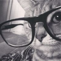 Flouqis Siquolf profile picture