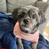 Life With Bell Bell profile picture