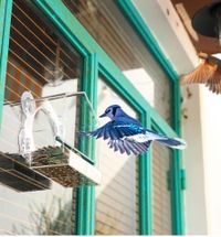 Sydney TG profile picture