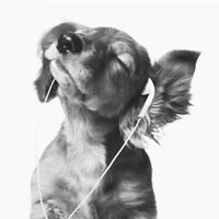kklekkii profile picture