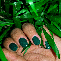 Sandra profile picture