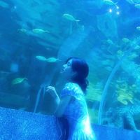 ztar profile picture