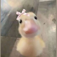 Lucy profile picture